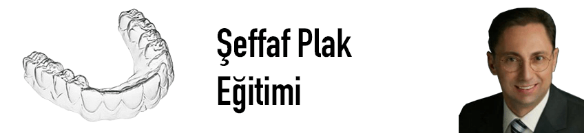 Şeffaf Plak Eğitimi